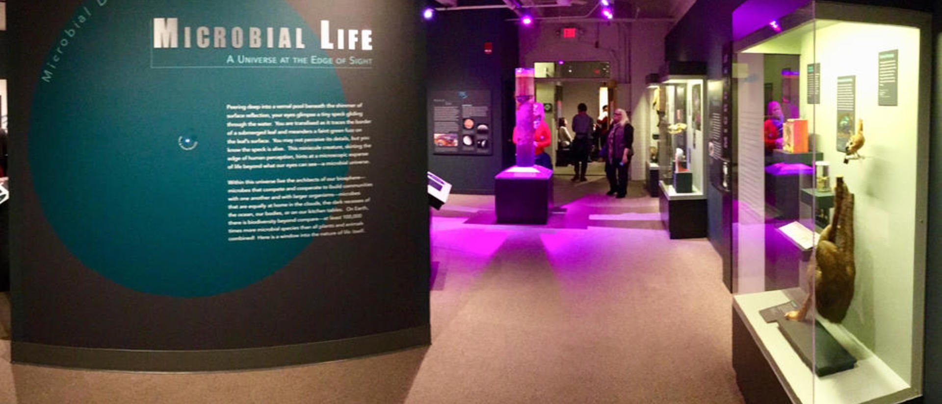 🔬 이와쿠니시 미소생물관(이와쿠니시 미쿠로 세이부츠칸) 이미지 4